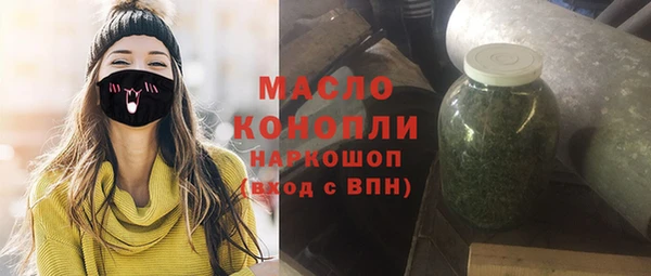 spice Богородицк