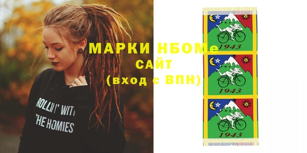spice Богородицк