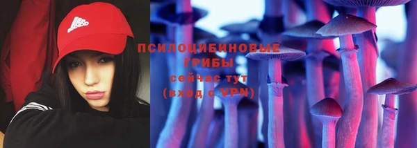 экстази Богданович