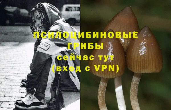 spice Богородицк