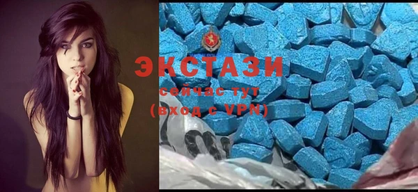 spice Богородицк