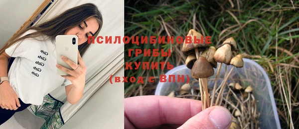 марки lsd Богородск