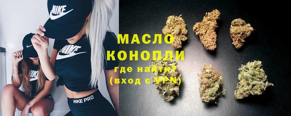 spice Богородицк
