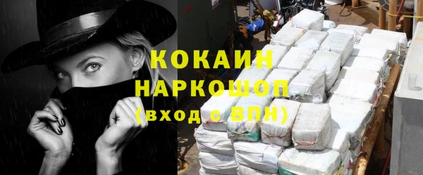 spice Богородицк