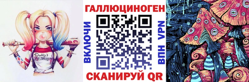 Галлюциногенные грибы Cubensis  Купить где  Данилов 